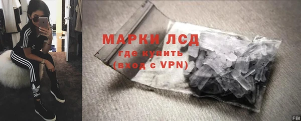 ГАЛЛЮЦИНОГЕННЫЕ ГРИБЫ Костерёво