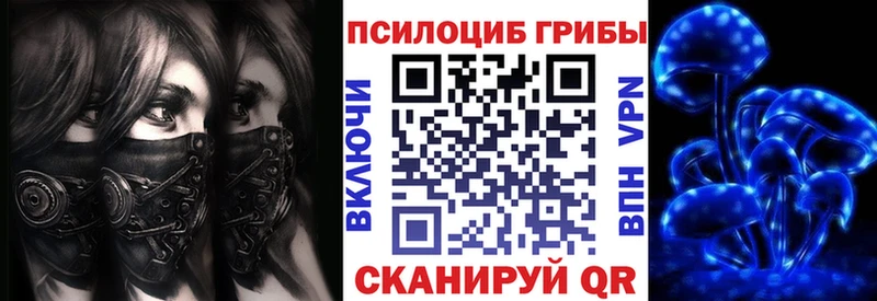 блэк спрут рабочий сайт  Чегем  Галлюциногенные грибы ЛСД 